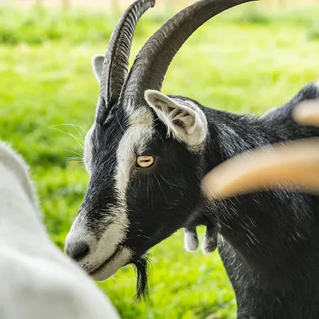 Hay Barn Hébergement de vacances
