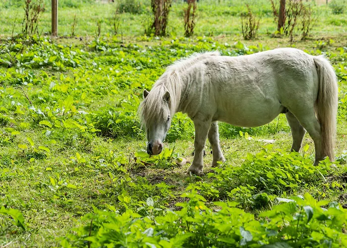 別荘 Hay Barn Burton in Lonsdale