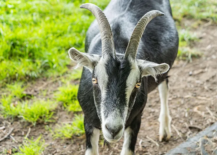 Hay Barn * Burton in Lonsdale