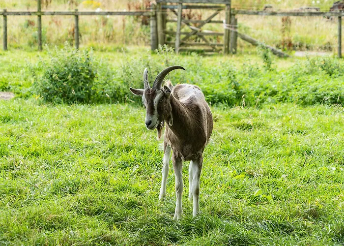 Hay Barn 別荘 Burton in Lonsdale